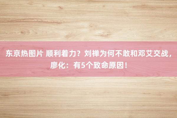 东京热图片 顺利着力？刘禅为何不敢和邓艾交战，廖化：有5个致命原因！