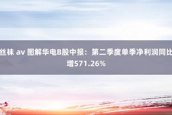 丝袜 av 图解华电B股中报：第二季度单季净利润同比增571.26%