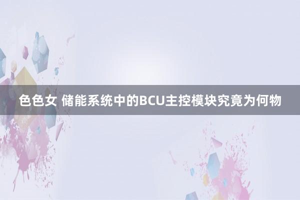色色女 储能系统中的BCU主控模块究竟为何物