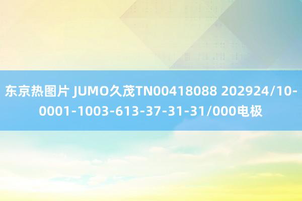 东京热图片 JUMO久茂TN00418088 202924/10-0001-1003-613-37-31-31/000电极