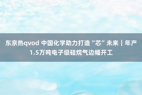 东京热qvod 中国化学助力打造“芯”未来｜年产1.5万吨电子级硅烷气边幅开工