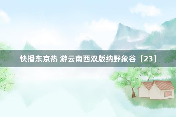 快播东京热 游云南西双版纳野象谷【23】